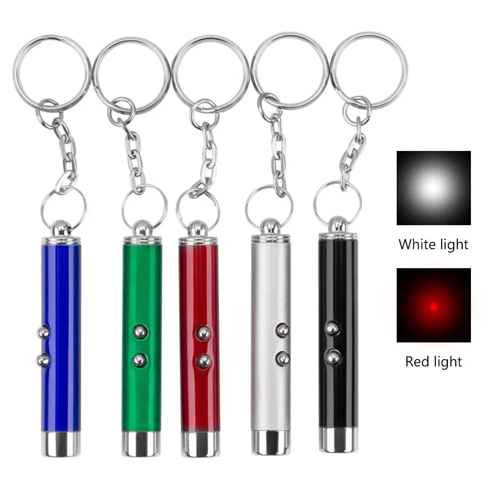 Cat Playing Pointer Pen | Mini Keychain Kitten Chase Torch | LED Pet Light