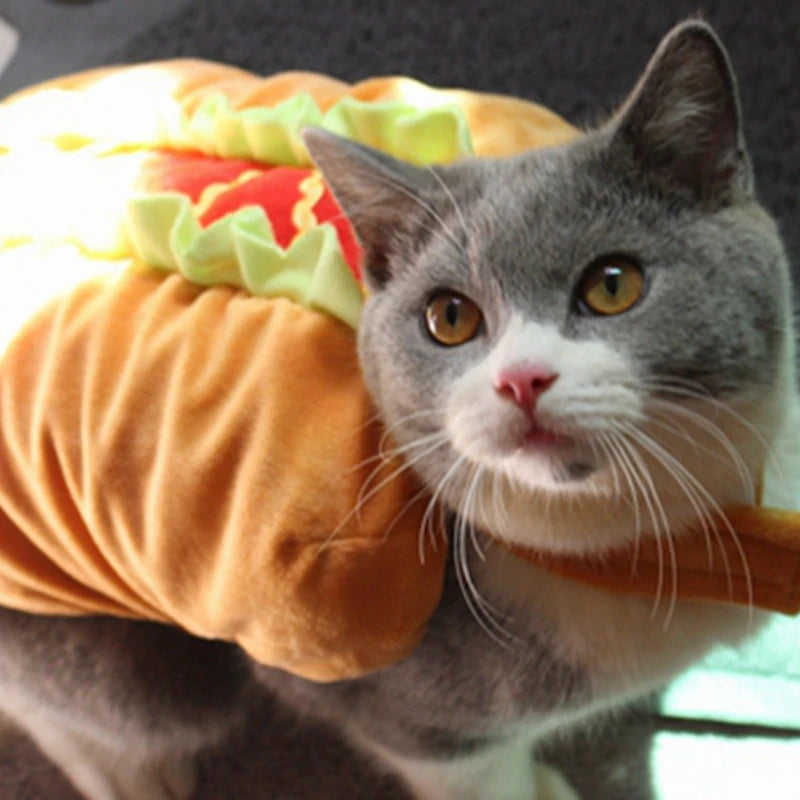 Pet Hot Dog Costume | Cat Sandwich Cosplay | Kitten Funny Outfit