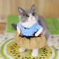 Funny Pet Clothes | Cat Cosplay Samurai | Kitten Costume Clothing