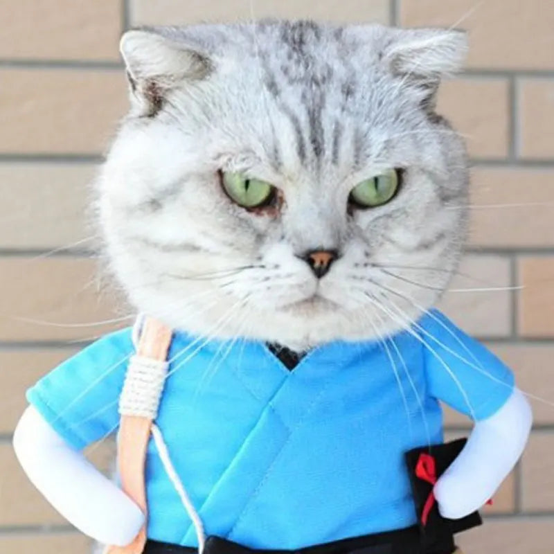 Funny Pet Clothes | Cat Cosplay Samurai | Kitten Costume Clothing