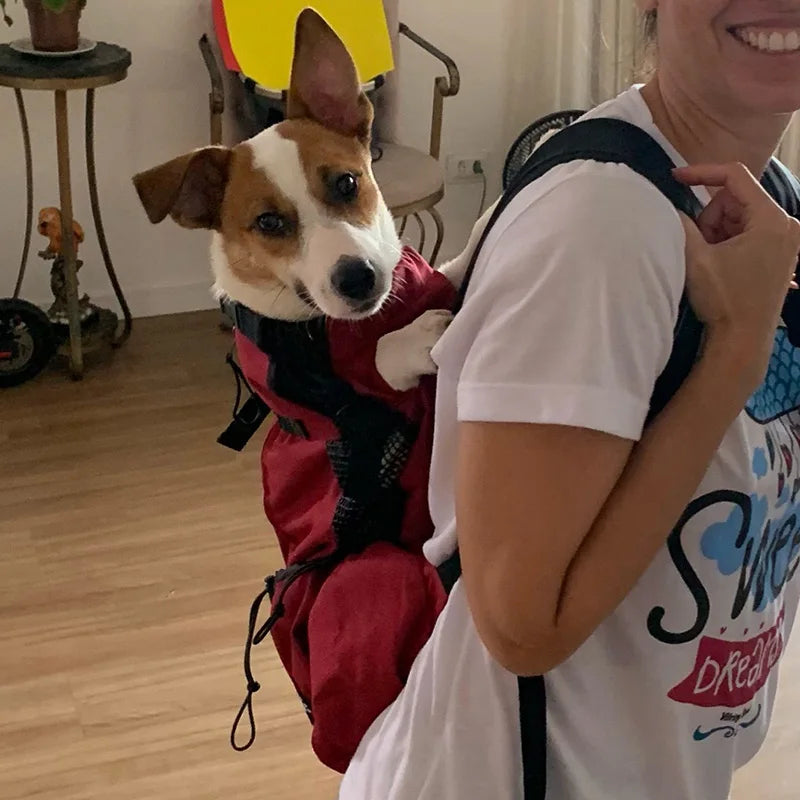 Strong Nylon Pet Carrier | Backpack for Dogs | High Quality Breathable Puppy Cycling Case