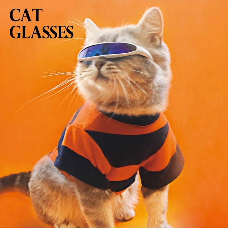 Cat Cosplay Glasses | Pet Eyewear Costume | Kitten Wearable Accessories