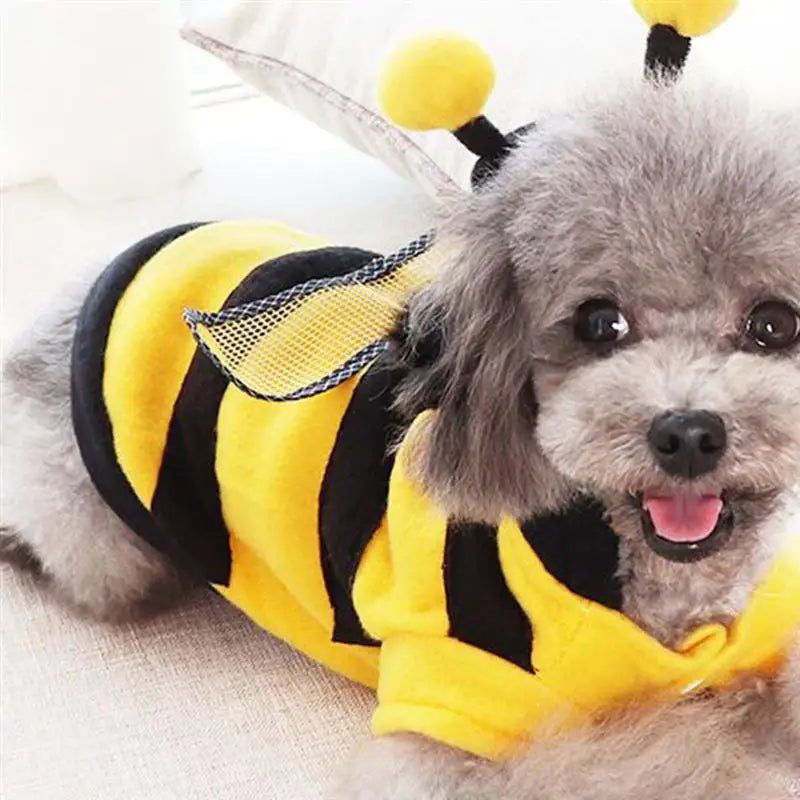 Bee Pet Costume | Cat Costume Clothes | Kitten Cosplay