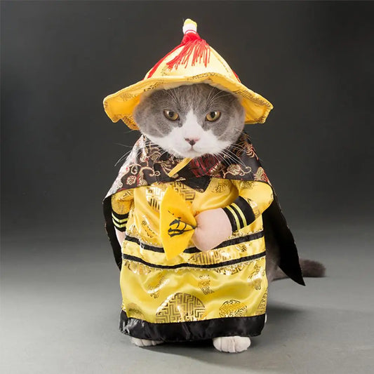 Funny Pet Clothes |  Cat Cosplay Pirate Outfit | Kitten Halloween Costume