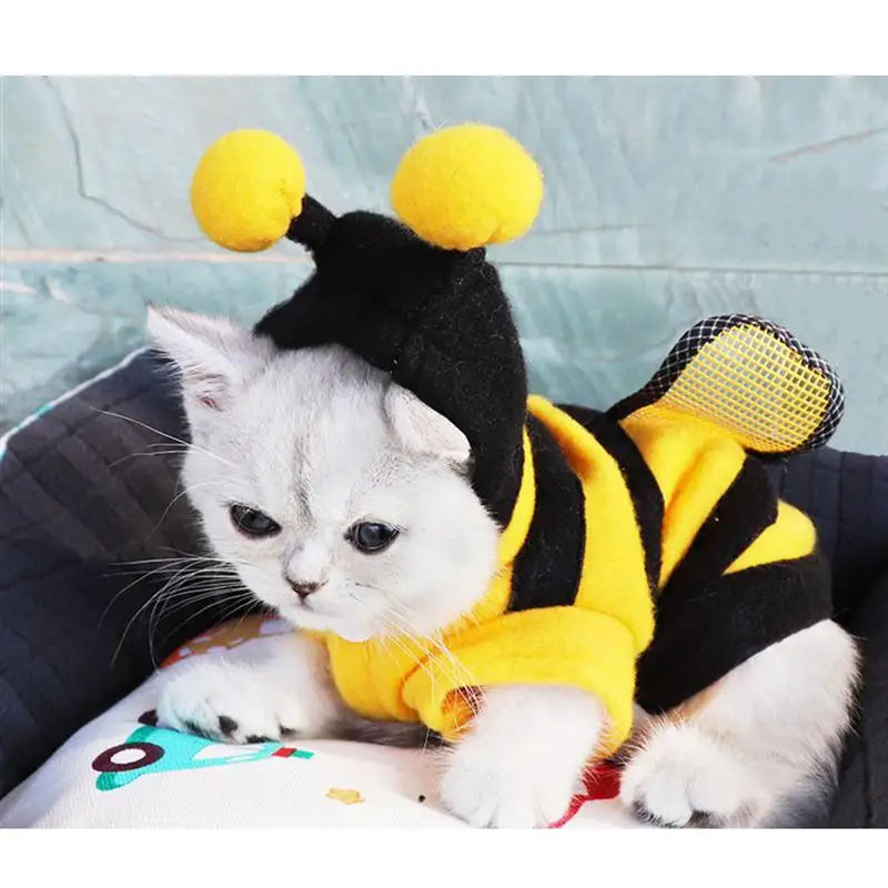 Bee Pet Costume | Cat Costume Clothes | Kitten Cosplay