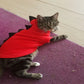 Pet Clothing Halloween | Cat Costume Hoodie Jacket | Kitten Dinosaur Cosplay