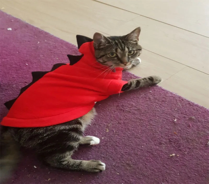 Pet Clothing Halloween | Cat Costume Hoodie Jacket | Kitten Dinosaur Cosplay