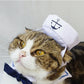 Navy Sailor Pet Costumes | Small Cat Apparel | Kitten Clothes Cosplay