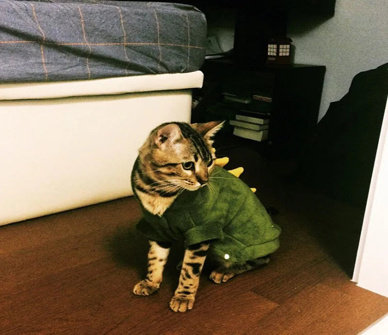 Pet Clothing Halloween | Cat Costume Hoodie Jacket | Kitten Dinosaur Cosplay