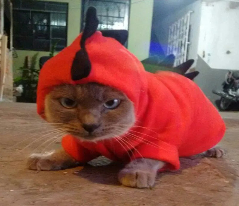 Pet Clothing Halloween | Cat Costume Hoodie Jacket | Kitten Dinosaur Cosplay