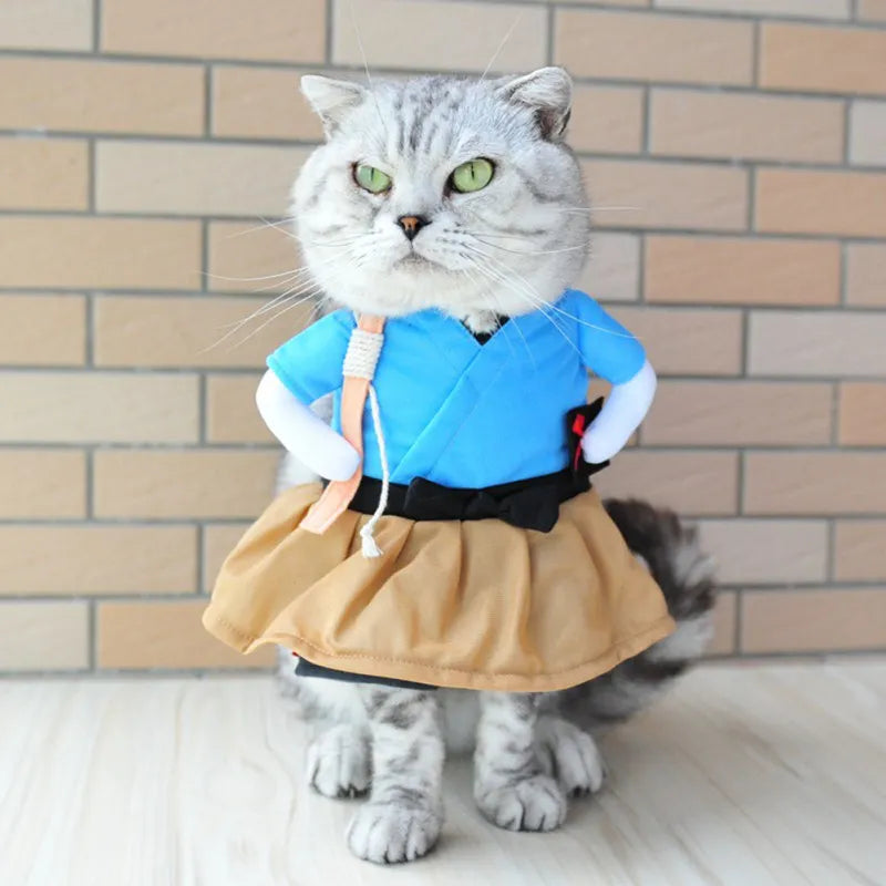 Funny Pet Clothes | Cat Cosplay Samurai | Kitten Costume Clothing