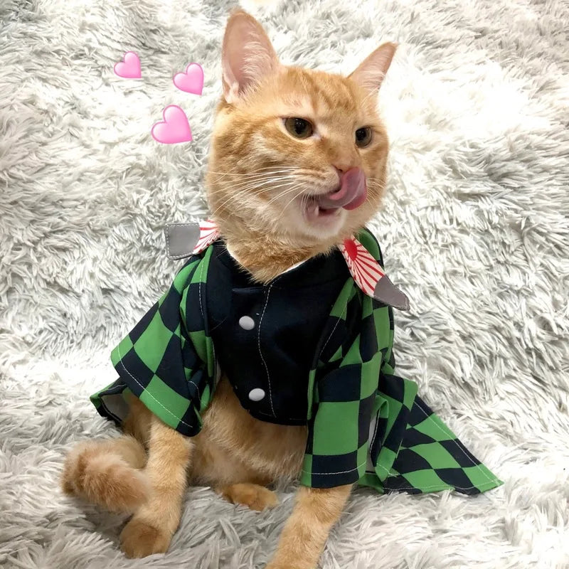 Chinese Cat Cosplay | Pet Clothes Costumes | Kitten Outfit