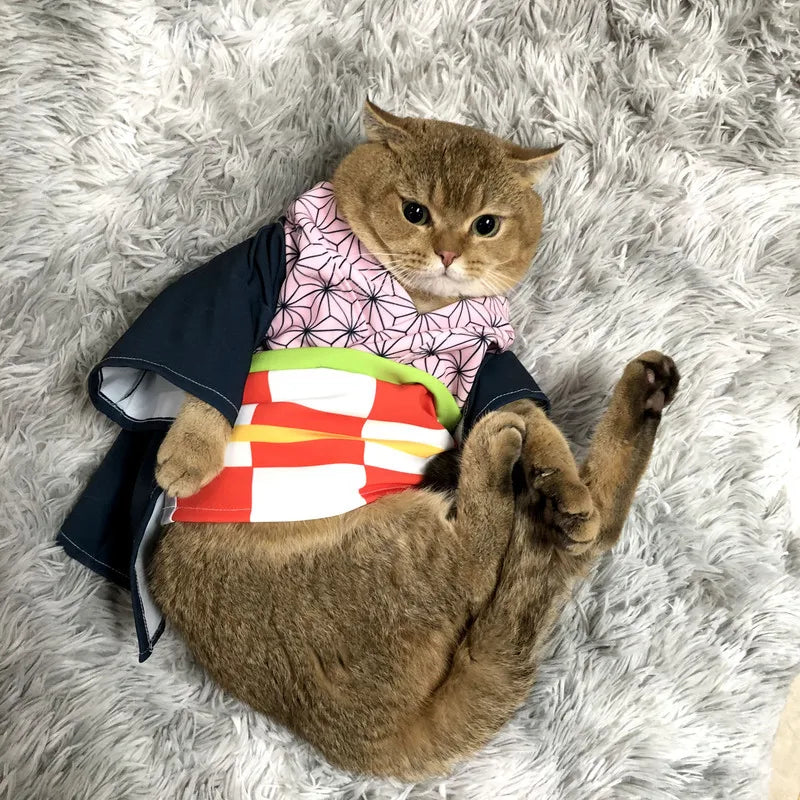 Chinese Cat Cosplay | Pet Clothes Costumes | Kitten Outfit