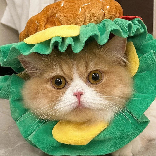 Cat Sandwich Cosplay | Pet Hamburger Costume | Kitten Halloween Accessories