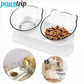 Non-Slip Double Cat Bowl | Dog Bowl With Stand | Pet Feeding Water Bowl