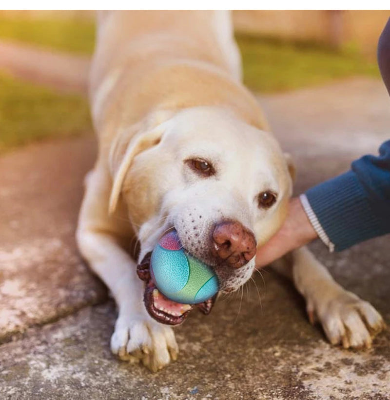 Bite Resistant Bouncy Ball Dog Toys | Tooth Cleaning Ball | Dog Chew Toys Pet Training