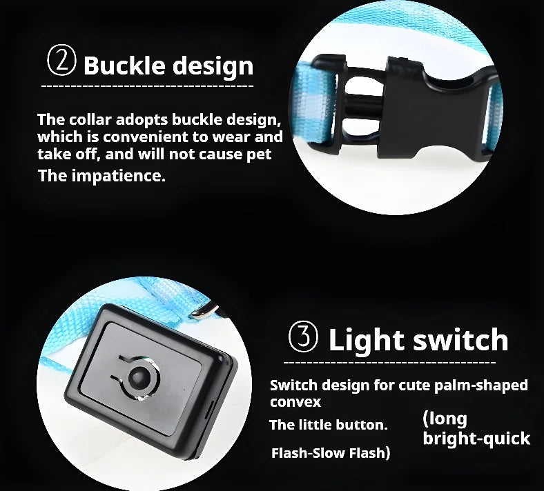 Dog Collar Nylon LED Light | Night Safety Flashing Glow In The Dark Pet Leash