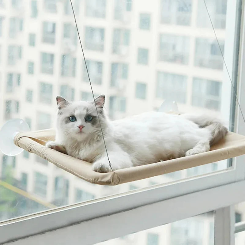 Hanging Cat Bed | Comfortable Window Kitten Hammock | Aerial Pet Bedding 20kg