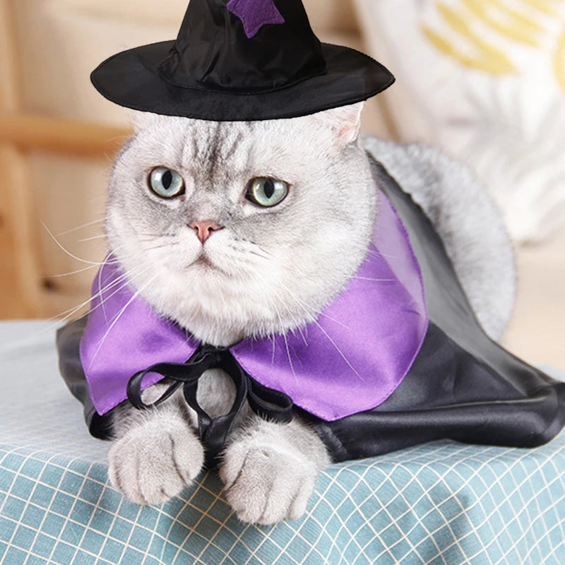 Halloween Pet Costume | Cat Wizard Cosplay | Kitten Cape and Hat