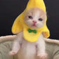 Banana Cat Head Cover | Yellow Pet Bandana Headwear | Kitten Plush Costume