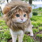 Cat Cosplay Dress Up | Pet Hat Lion Mane | Kitten Wig Costume