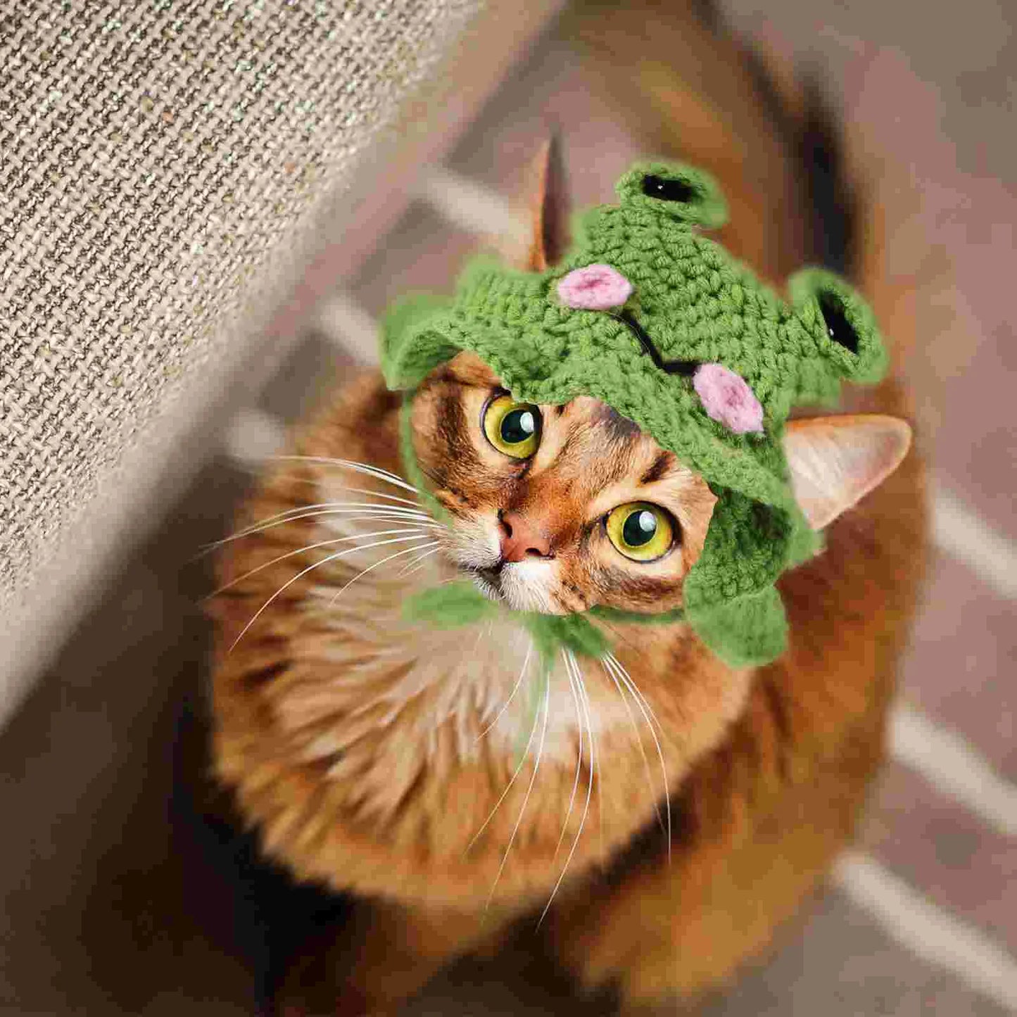 Frog Lillipad Cat Hat | Soft Pet Cap | Kitten Yarn Headdress | Frog Headgear