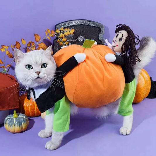 Pet Costume Halloween | Cat Pumpkin Clothes | Kitten Cosplay Apparel