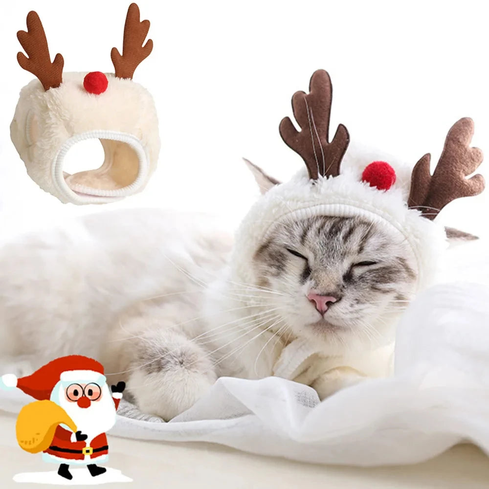 Christmas Cat Costume | Reinder Kitten Headwear | Pet Xmas Hat with Bandana Bib Scarf