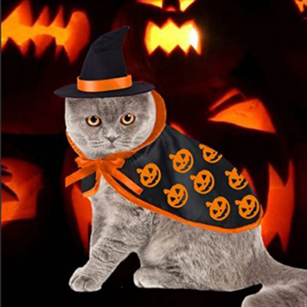 Halloween Cat Costume | Pet Cape and Witch Hat | Kitten Cloak Pumpkin Pattern