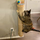 Cat Scratching Post | Wall Furniture Wood Wall Mounted Kitten Scratcher Tree