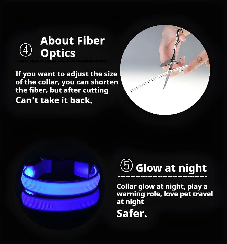 Dog Collar Nylon LED Light | Night Safety Flashing Glow In The Dark Pet Leash