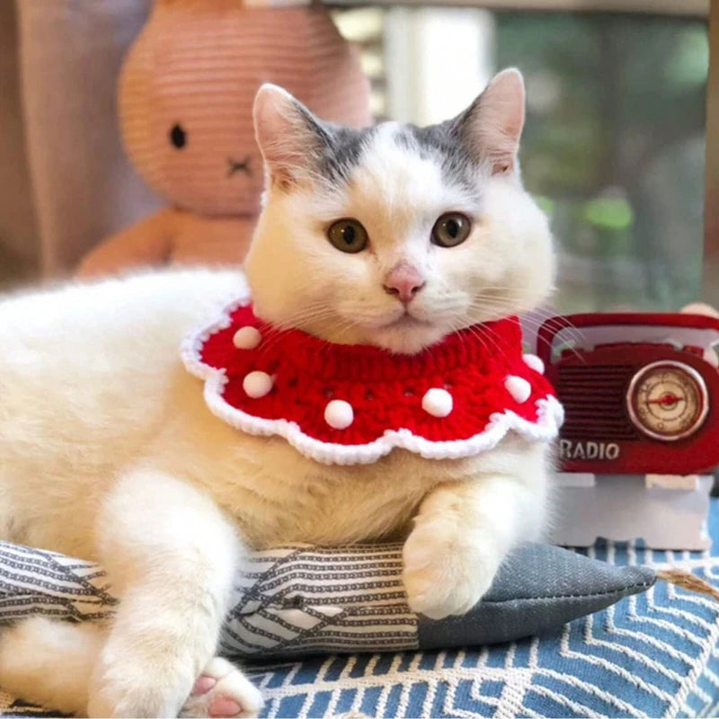 Scarf Christmas Pet Collar | Cat Decorative Scarf | Kitten Decorative Knit