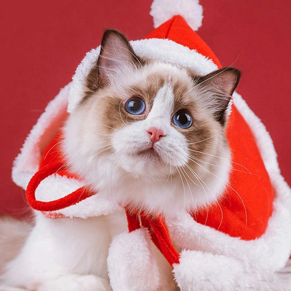 Cat Costume Santa Elk Cosplay | Pet Christmas Shawl Outfit | Kitten Xmas Reinder Cape