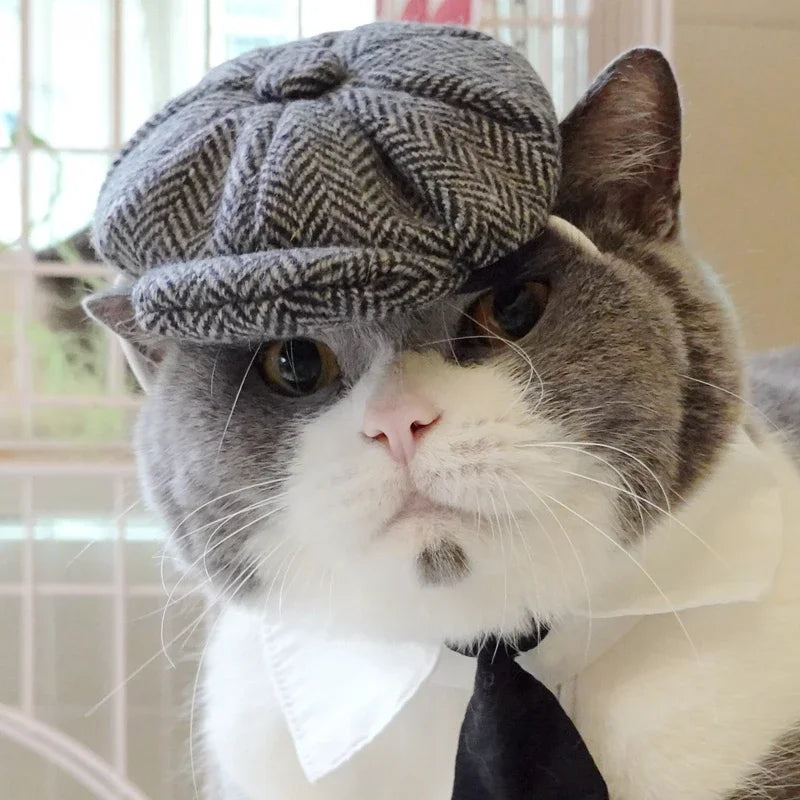 Funny Pet Hat | Cat's Flat Cap and Tie | Kitten Beret Cosplay