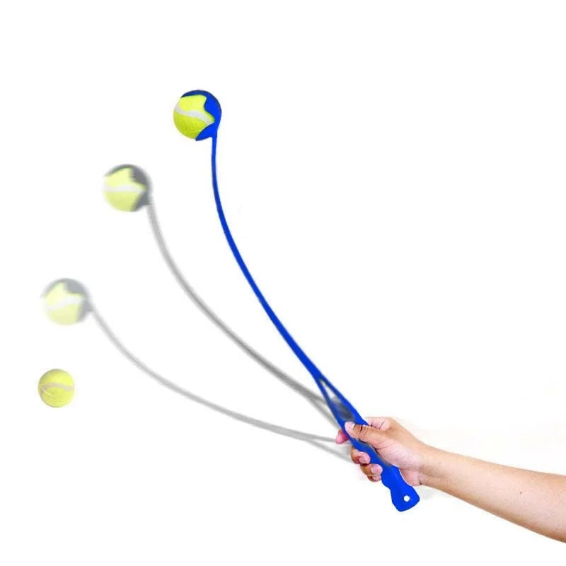 Pet Tossing Training Toy Ball | Puppy Ball Launcher | Dog Ball Tosser