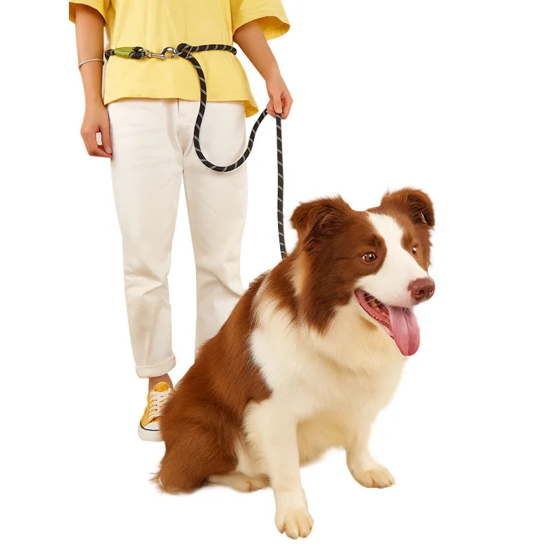 Nylon Pet Dog Leashes | Hands-Free Dog Leash Rope | Reflective Dog Chain