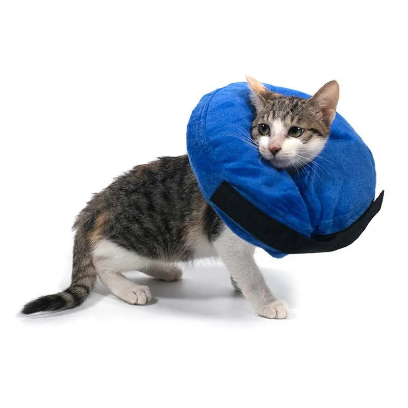 Inflatable Dog Collar | Anti-Bite Elizabethan Pet Collar | Adjustable Cat Recovery Collar