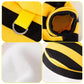 Cat Bee Costume | Soft Kitten Cosplay | Pet Halloween Hoodies