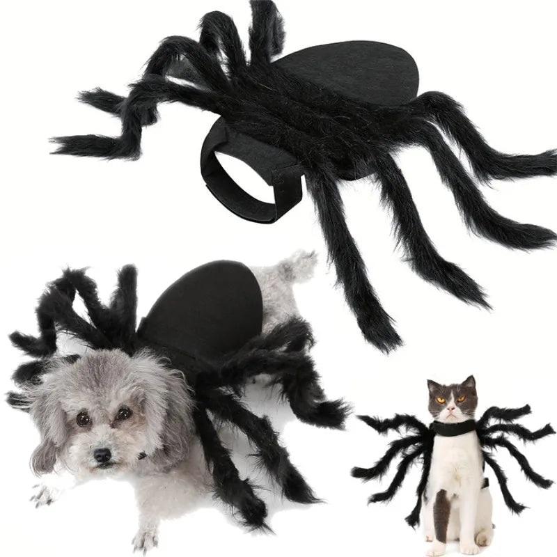 Halloween Cat Clothes | Pet Cosplay Spider Costume | Kitten Extra Legs Outfit