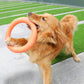 Orange Dog Toys | Pet Flying Disk Training | Puppy Ring Puller | Interactive Training Ring Puller