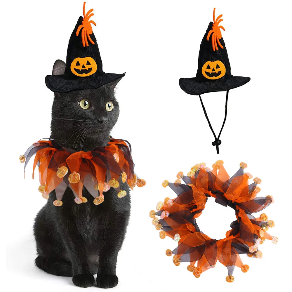 Halloween Cat Costume | Pet Pumpkin Hat Scarf | Kitten Cosplay Prop