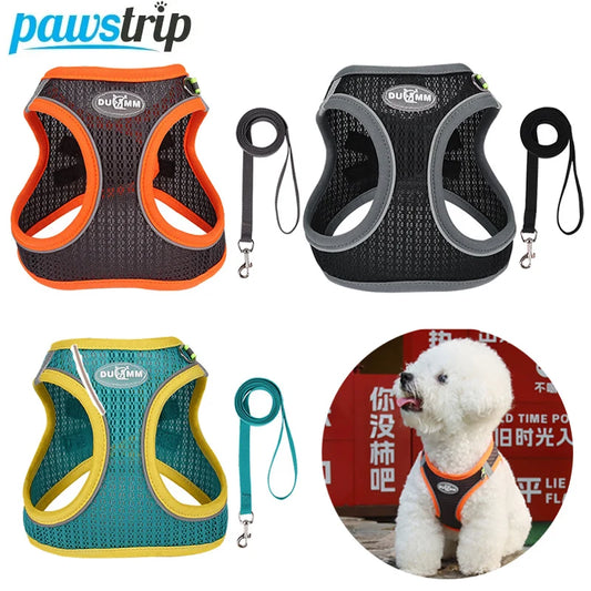 Dog Harness Leash Set | Adjustable Puppy Cat Harness Vest | Walking Lead Leash