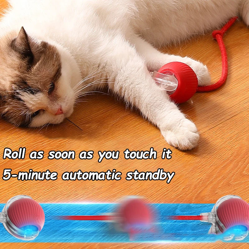 Cat Interactive Ball Toys | Kitten Automatic Rolling Ball | Pet Faux Tail Rechargeable Smart Mouse