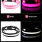 Dog Collar Nylon LED Light | Night Safety Flashing Glow In The Dark Pet Leash