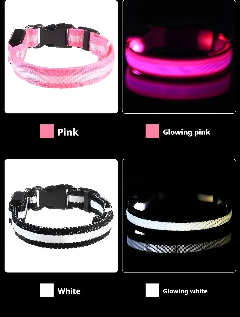 Dog Collar Nylon LED Light | Night Safety Flashing Glow In The Dark Pet Leash