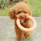 Orange Dog Toys | Pet Flying Disk Training | Puppy Ring Puller | Interactive Training Ring Puller