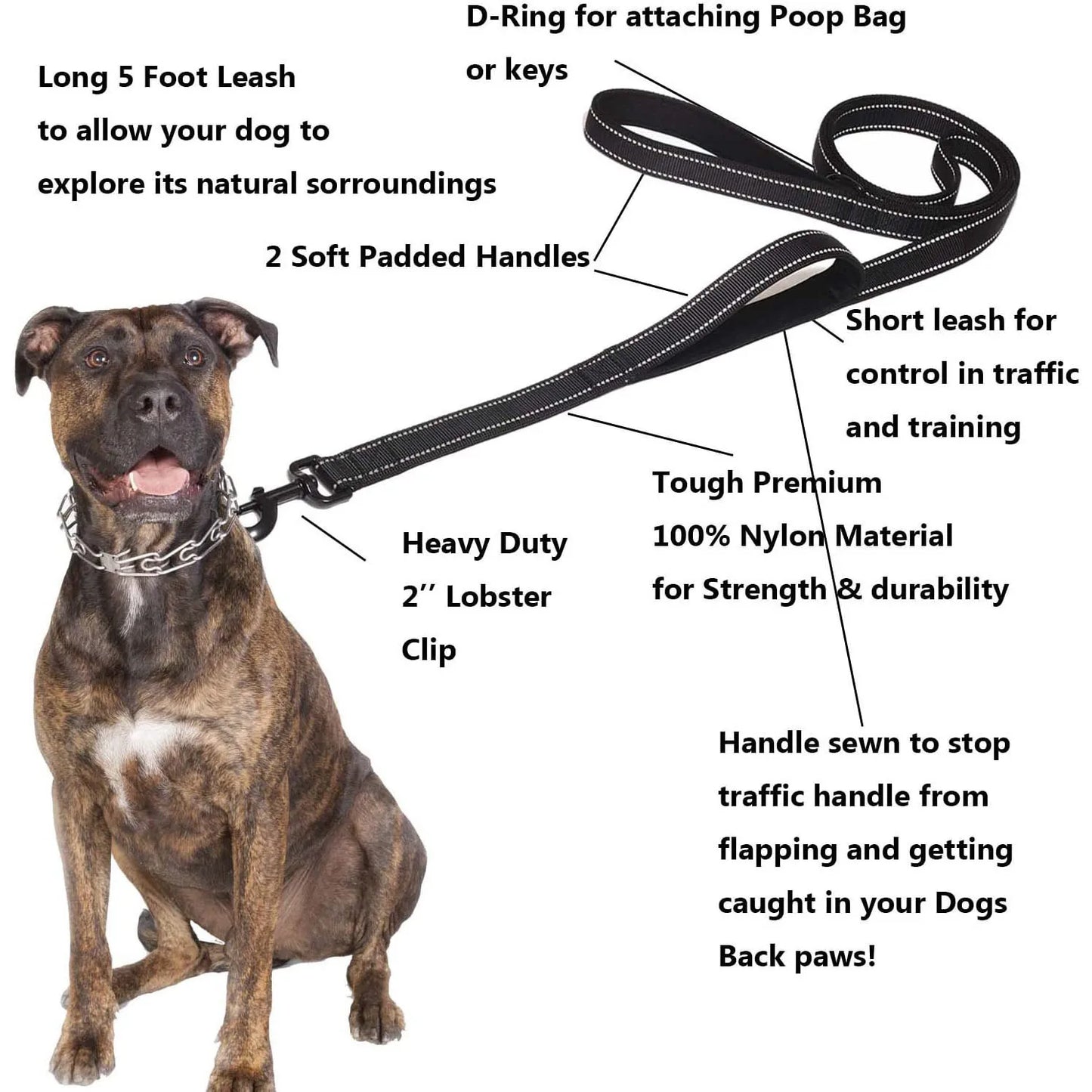 Long Traffic Padded 2-Handle Pet Leash | Double Handle Nylon Dog Leash For Training Control