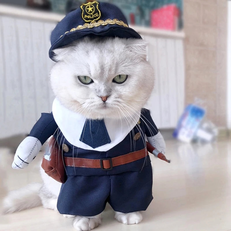 Funny Cat Clothes | Pet Costumes | Kitten Cosplay Clothing