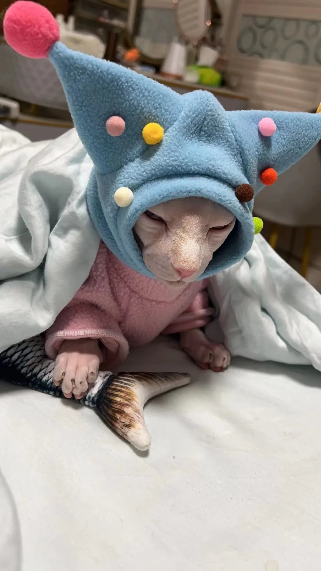 Hairless Cat Pet Costume | Pet Clown Plush Ball Hat | Kitten Winter Headwear