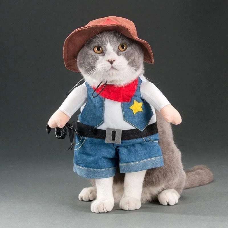 Funny Cat Clothes | Pet Costumes | Kitten Cosplay Clothing